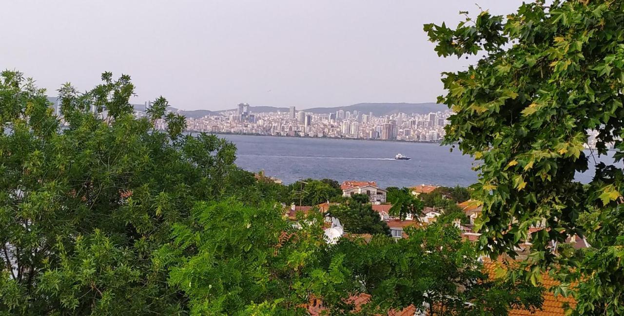 Bueyuekada Anastasia Meziki History Mansion Adalar Exterior photo